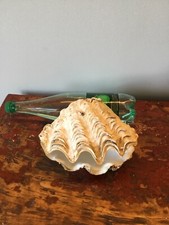 GROS  Coquillage benitier bivalves. (6)Très bon état *1kilo 400