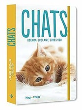 Agenda scolaire 2019-2020 Chats de Collectif | Livre | état très bon