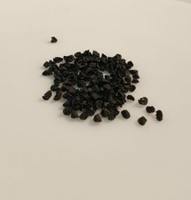 GRAINES D'Oignons Extra Trés bon légume