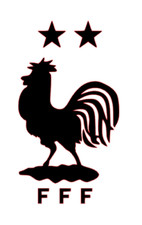 Flocage France FFF avec 2 étoiles, pour tee-shirt, sac etc...