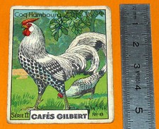 CHROMO 1920 1930 CAFE GILBERT COQ HAMBOURG SERIE II N°6
