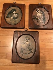 Vintage Owl Prints. By Richard Hinger. Set Of Three In Wooden Frames.10”/13”
