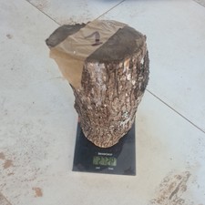 Bois d'olivier Provence N°1 lot 1 rondin 2kg700 ,tournage,sculpture,coutellerie