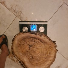 Bois d'olivier Provence N°20 lot 1 rondin / tronc 10kg500 sculpture tournage 57c