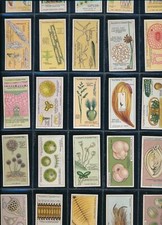 JOHN PLAYER - HIDDEN BEAUTIES 1929....Full Set of 25.....Fast Post