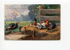 Ancienes Ak Volaille Sur Meadow / Paille, Coq de Bruyère Canard Poules 1947 35