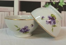 2 Bols Ancien Porcelaine Apilco Decor Fleurs De Violette
