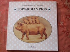 cameo éditions EDWARDIAN PIGS 1993 texte anglais 28x28 cm illustrations couleurs