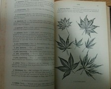 CUSIN L'HORTICULTURE DE LA FRANCE PLANTES JARDINS PARCS SERRES LYON 1895 RARE