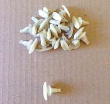 Clip crochet de fixation de joint de porte (lot de 20) / Jaguar S-Type 1999-2008