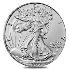 ETATS-UNIS 1 Dollar Argent 1 Once Silver Eagle 2022