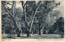*12670 cpa Vichy - dans les nouveaux parcs peupliers géants
