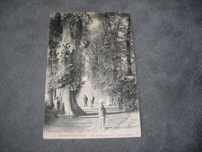 Carte Postale Ancienne de Bourbonne les Bains (parc Montmorency. L'Orme géant)