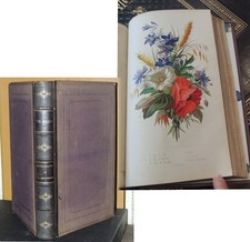MIDY (Th.) - Botanique illustrée de la jeunesse 8 planches en couleurs  1866