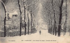 Carte Postale Ancienne Dept 14 - Cabourg en Temps de Neige Avenue du Nord