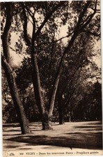 CPA VICHY Dans les nouveaux Parcs-Peupliers géants (266857)