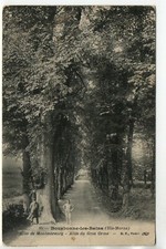 BOURBONNE LES BAINS - Haute Marne - CPA 52 - Parc de Montmorency - l'Orme géant