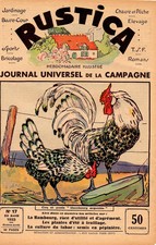 PLANCHE COULEUR   20è TIREE DE RUSTICA COQ ET POULE HAMBOURG ARGENTEE