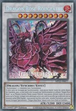 Yu-Gi-Oh! Dragon Rose Rougeâtre : PSE MP22-FR077