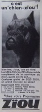 PUBLICITÉ ZIOU POUR CHIEN EN PHARMACIE GRAINS DE SELS - BOXER