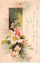 Illustrateur - n°60198 - Klein - Branches fleuries