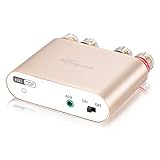 Mini-amplificateur numérique Nobsound NS-10G Pro Hi-Fi