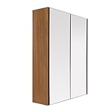 Premier Housewares 2403292 Armoire Murale avec 2 Portes