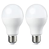 Amazon Basics Lot de 2 ampoules LED Culot Edison à