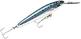 Rapala Blue Sardine Countdown Magnum-Matériel Corps