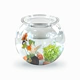 Mobiclinic® Pets, Bocal Poisson, Rond, Nemo, 4 litres,