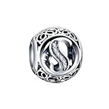 DFHTR 925 Sterling Silver Forme Ronde Lettre S Charme