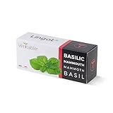 Lingot® Basilic Mammouth - Compatible Potager d'Intérieur