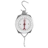 QWORK® Balance suspendue, balance de valise avec crochet,