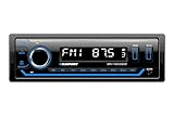 Blaupunkt BPA1124BT Autoradio Multicolore avec Dab+,