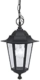 Eglo Lampe suspendue extérieure LATERNA 4, à flamme,