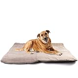 Vitazoo Tapis Chauffant pour Animaux - 100 x 70 cm