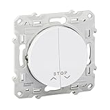Schneider Electric - Odace, poussoir Blanc, 2 boutons