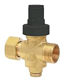 SOMATHERM FOR YOU, Réducteur de pression à piston Mâle