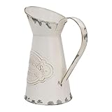 Qianly Pichet en Métal Vase Décoratif Cruche à Fleurs