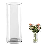 QEEYON Vase cylindrique en verre transparent 40 cm