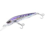 Yo-Zuri R1164-cpbn 3D Magnum la pêche à la traîne Leurre