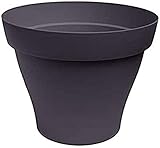 Poetic Roméo Pot, Noir Violine