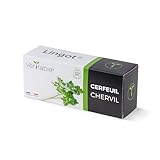 Lingot® Cerfeuil BIO - Compatible Potager d'Intérieur