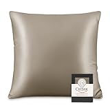 OLESILK Taie d'oreiller en Soie Naturelle de mûrier