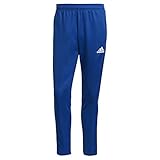 adidas TIRO21 TR PNT Pants (1/1) Mens, ROYBLU, M