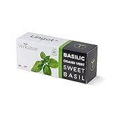 Lingot® Basilic Grand Vert Bio - Compatible Potager