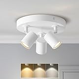 ANWIO Plafonnier Spots, 3 Spots de Plafond Led Intérieur