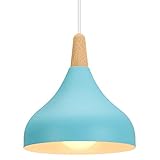 iDEGU Lustre Suspension Rétro Suspension Luminaire