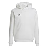 adidas Mixte Enfant Entrada 22 Sweat Hoodie, White/Black,