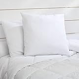 Bleu Câlin Lot de 2 Oreillers Anti-Acariens, Anti punaises,